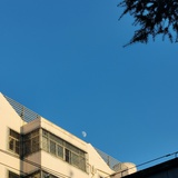 就是就是