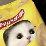顺意