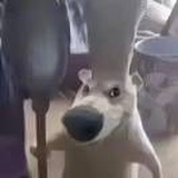 豆友At0Bt7TgaE