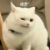 已老实