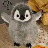 豆友Tmsi2YnOKg