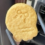 翼蛇