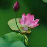 豆友YMEdA5ioeQ