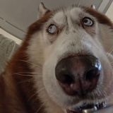 00