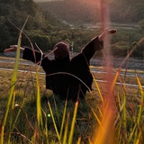 芹芹