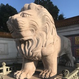 谢谢