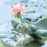 夏天要多喝水