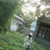多雾的岛国