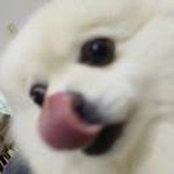 豆友QeYO6lS_1E