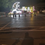 韦