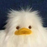 西瓜