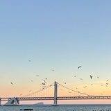 海边的度假村