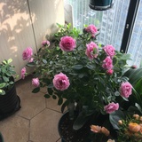 豆友3yhaDG6J04