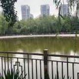 麦穗