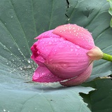那就这样吧
