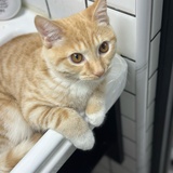 管我叫什么名字