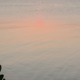陈澄