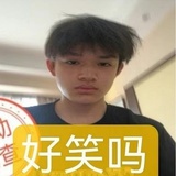 头骨养花