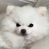 叨叨