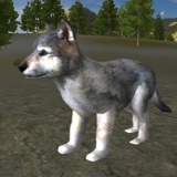WOlfBinder