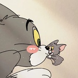 猫和老鼠