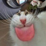 豆友ajRnfQ2Tzg