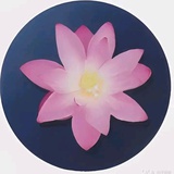 盐风饭团子