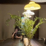 迷糊迷糊嘻嘻嘻