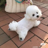 是个嘤嘤怪