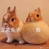 路星野