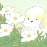 Artemis朝歌