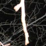 cc111