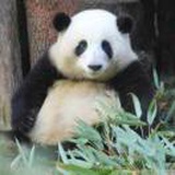 舔狗超爱玩手机