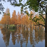 ch857053567