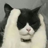 咏三秋