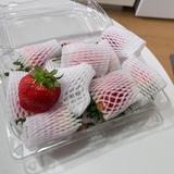 豆友287304109