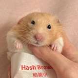 想想