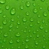 无声的雨