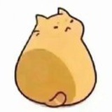 豆友4Rk0-moNwg