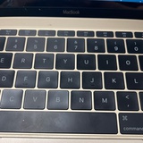 不知江月待何人