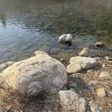 水处理行家