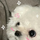 暮蓝