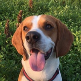 俺是你牛爹地阿