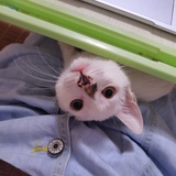 西天取经唐凯蒂