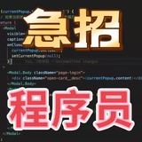 程序员老包