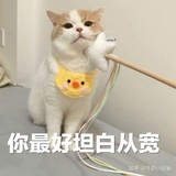 你的天才朋友