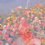 豆友TPoBpQELpE