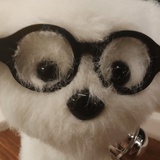 puppy（黑化版