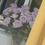 芳姐