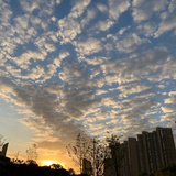 海边的可可夫